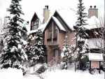 Wintergreen 31 - Whistler Vacation Home Rentals
