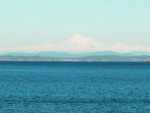 Village Retreat - Vacation Home Rentals Vancouver