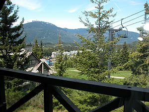  Vacation Rentals